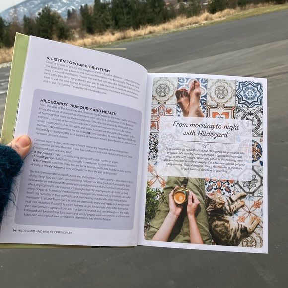 Hildegard of Bingen's Holistic Health Secrets Book - Picture 3 of 3